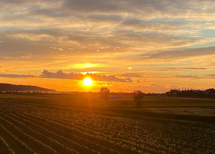 Casa Mulino - Where The Vineyards Meet The Sea 4*