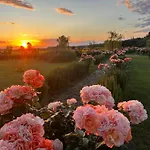 Casa Mulino - Where The Vineyards Meet The Sea Bed & Breakfast 4*