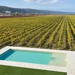 Bed & Breakfast Casa Mulino - Where The Vineyards Meet The Sea Secovlje