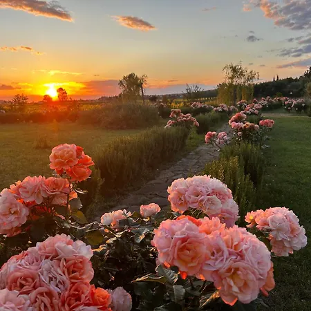 Casa Mulino - Where The Vineyards Meet The Sea B&B 4*
