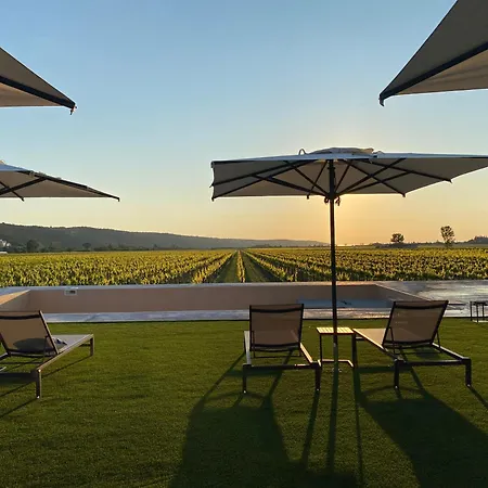 Casa Mulino - Where The Vineyards Meet The Sea Secovlje