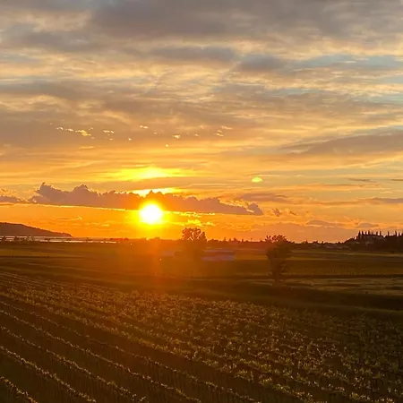 Casa Mulino - Where The Vineyards Meet The Sea 4*