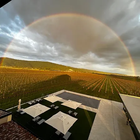 Casa Mulino - Where The Vineyards Meet The Sea Bed & Breakfast Secovlje