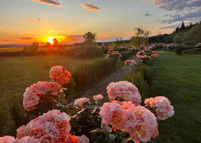 Casa Mulino - Where The Vineyards Meet The Sea Bed & Breakfast 4*