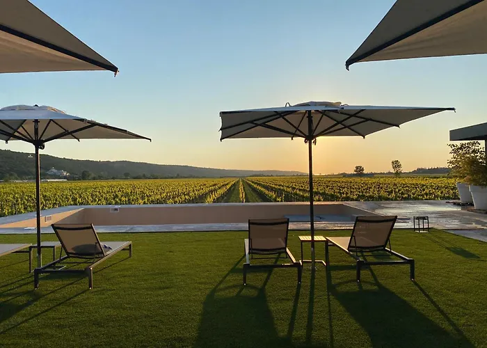 Casa Mulino - Where The Vineyards Meet The Sea Secovlje