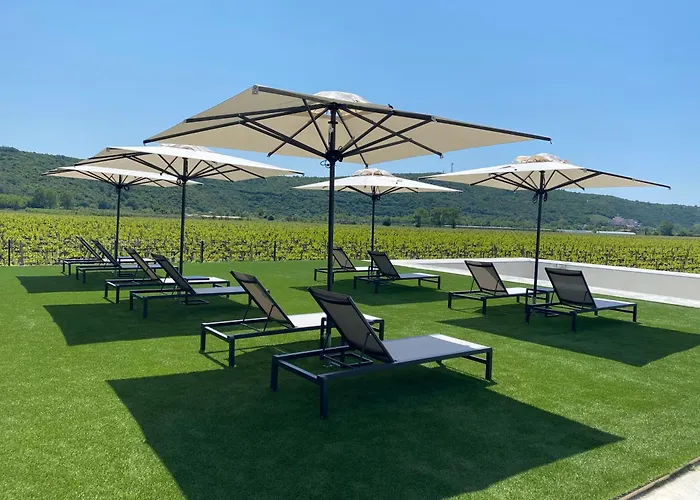 Bed & Breakfast Casa Mulino - Where The Vineyards Meet The Sea Sečovlje