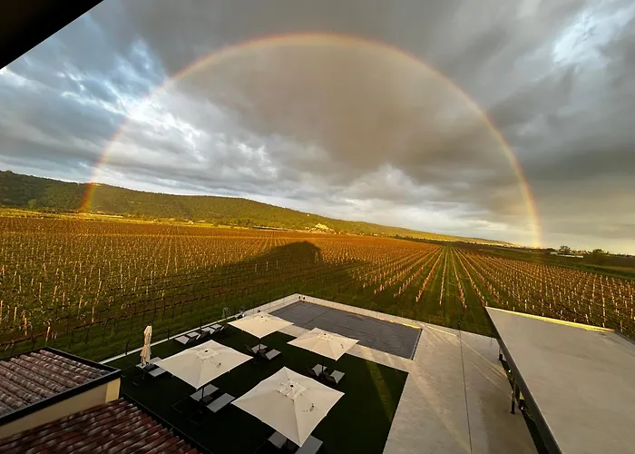 Casa Mulino - Where The Vineyards Meet The Sea Bed & Breakfast Secovlje